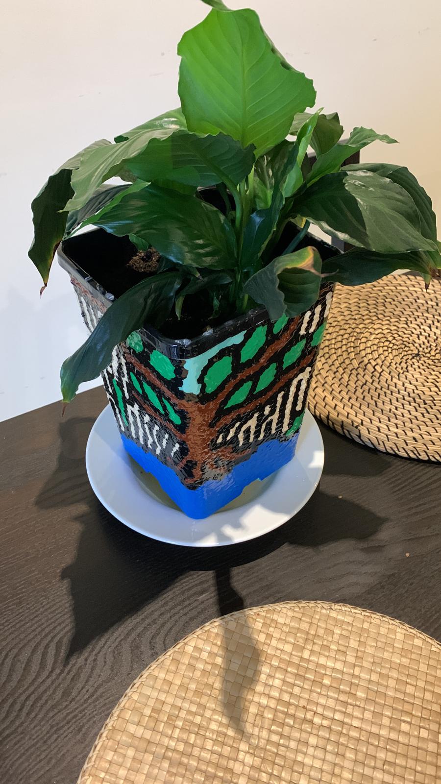 Indonesia and Australia upcycled friendship plant pot
