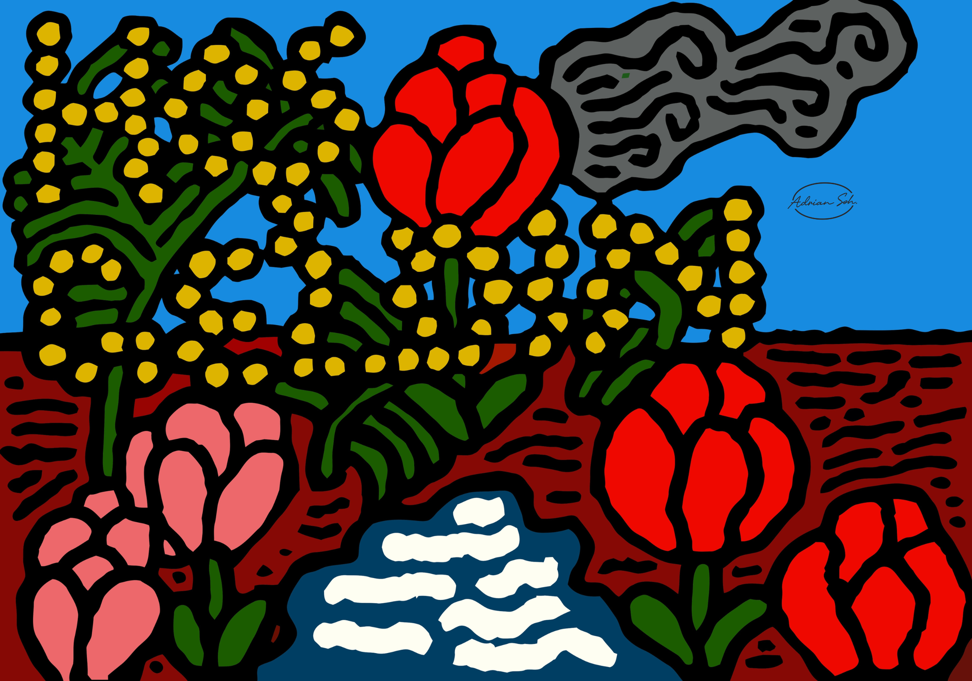 A field of tulips next to a wattle