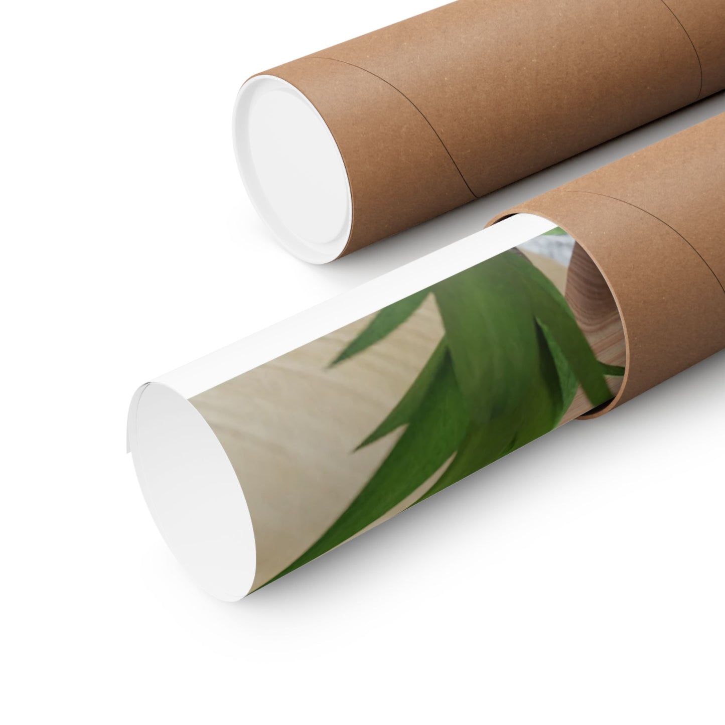 Two dragons enjoying a feast together Matte Poster Horizontal (Small)