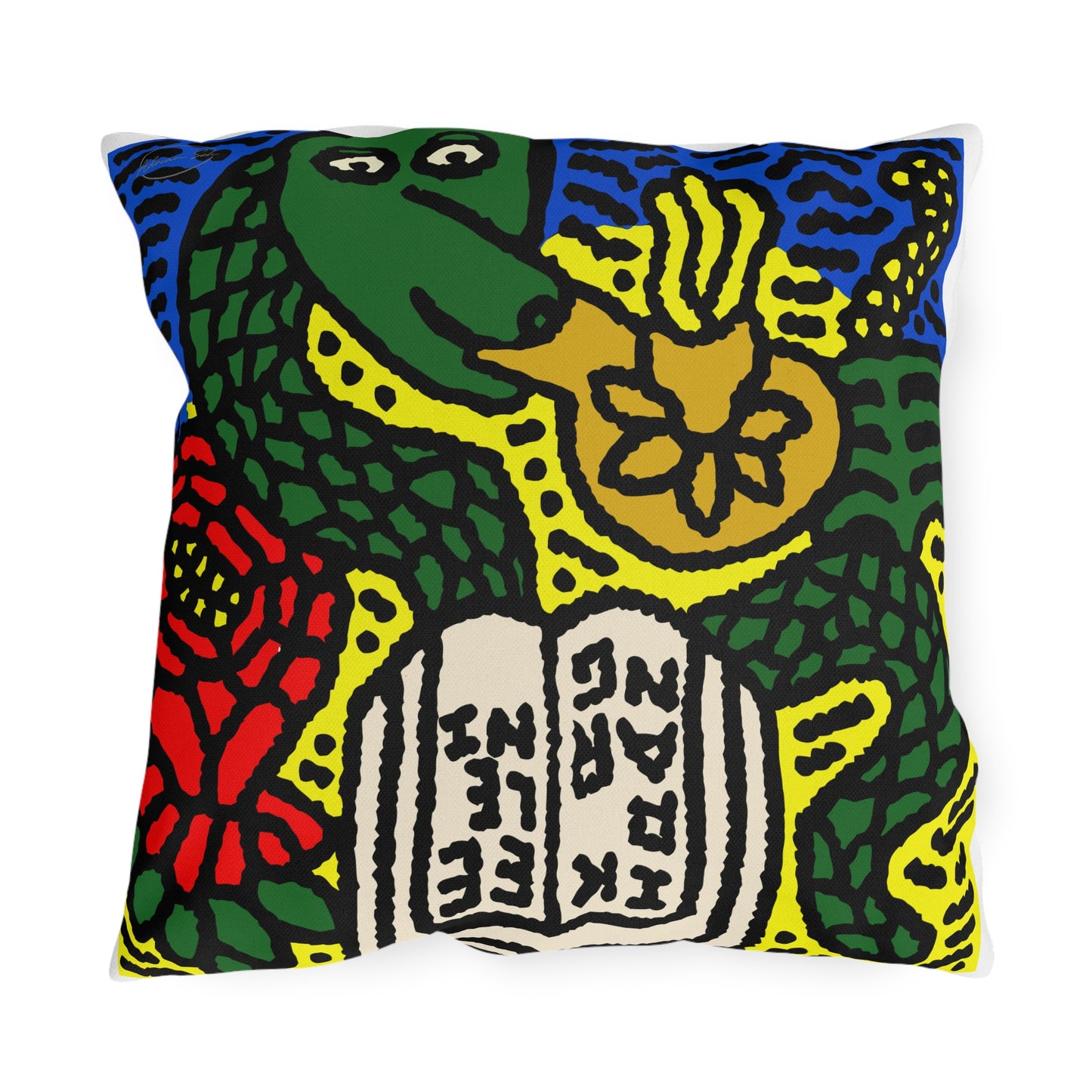 Shining a light on knowledge — Outdoor Pillow