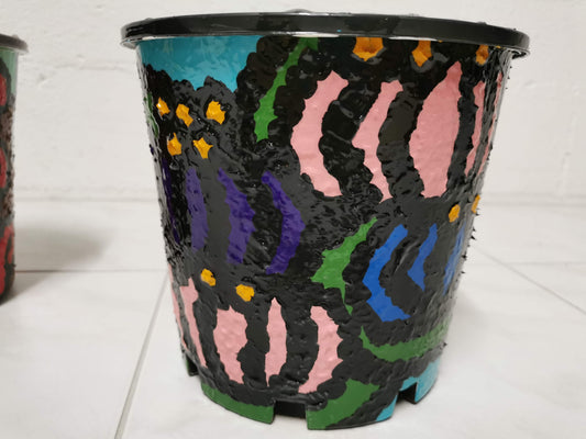 Sri Lanka Australian friendship plant pot
